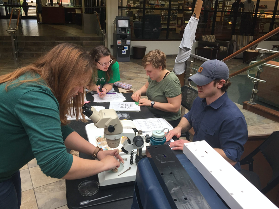 Darwin Day activity booth on the UT-Tyler campus