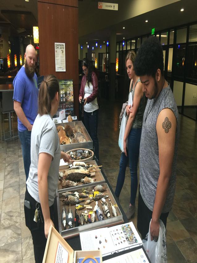 Darwin Day activity booth on the UT-Tyler campus